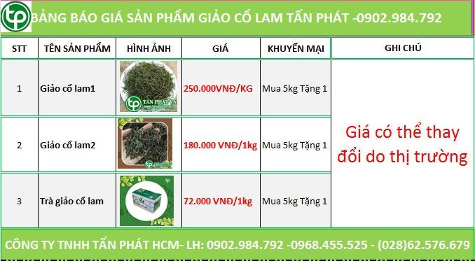 Bảng giá giảo cổ lam tại Ninh Thuận