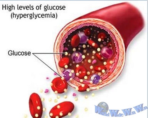 nghiên cứu chữa trị tận gốc bệnh tiểu đường